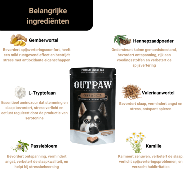 Outpaw Dogcare | Angst en Stress bij honden Outpaw Dogcare | Angst en Stress bij honden
