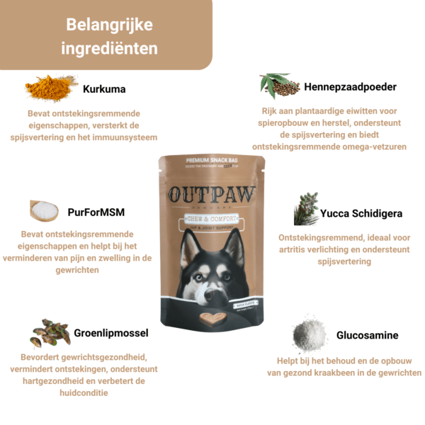 Outpaw Dogcare | Heup- en gewrichtsproblemen bij honden Outpaw Dogcare | Heup- en gewrichtsproblemen bij honden