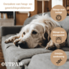 Outpaw Dogcare | Oorzaken gewrichtsproblemen bij honden Outpaw Dogcare | Oorzaken gewrichtsproblemen bij honden