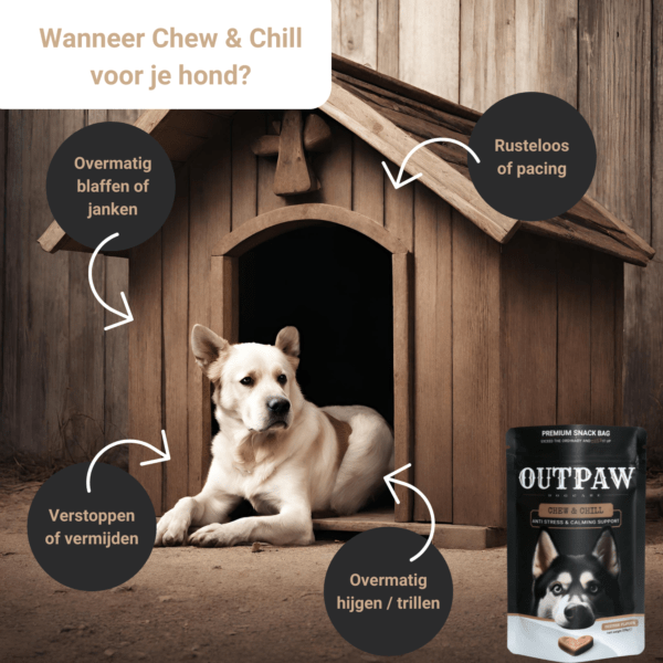 Outpaw Dogcare | Angst en Stress bij honden Outpaw Dogcare | Angst en Stress bij honden