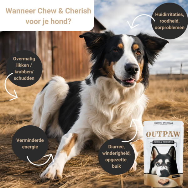Outpaw Dogcare | Chew & Cherish | Probiotica Anti-Jeuk Immuunsupport voor Honden Outpaw Dogcare | Chew & Cherish | Probiotica Anti-Jeuk Immuunsupport voor Honden