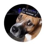 Mensen praten | Outpaw Dogcare Outpaw Dogcare | CBD olie voor honden