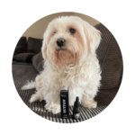 Mensen praten | Outpaw Dogcare Outpaw Dogcare | CBD olie voor honden