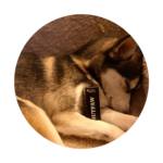 Mensen praten | Outpaw Dogcare Outpaw Dogcare Hennepolie voor honden review Gigi