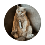 Mensen praten | Outpaw Dogcare Outpaw Dogcare | Hennepolie voor katten